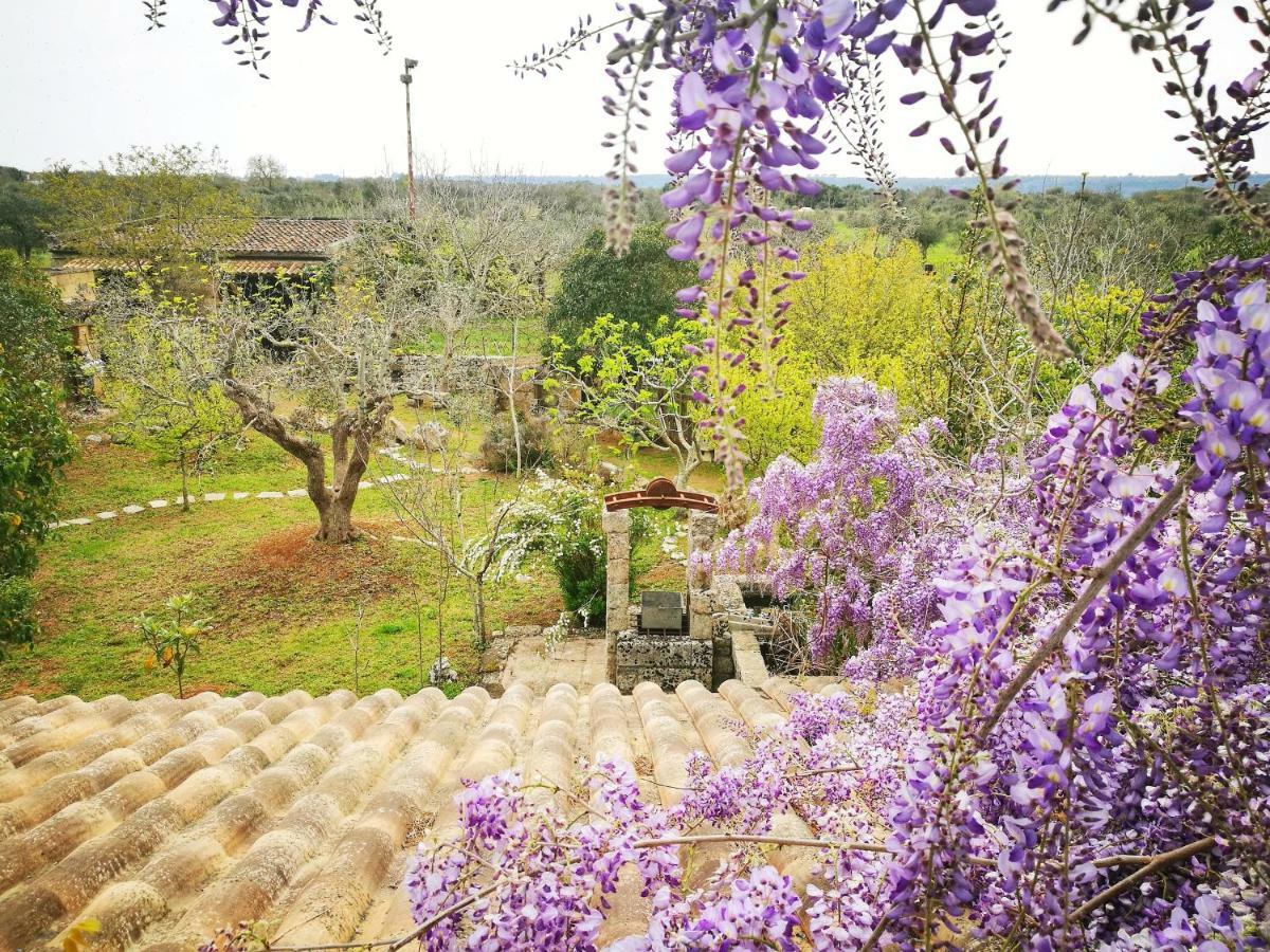 Borgo Del Gallo Bed and breakfast Tricase