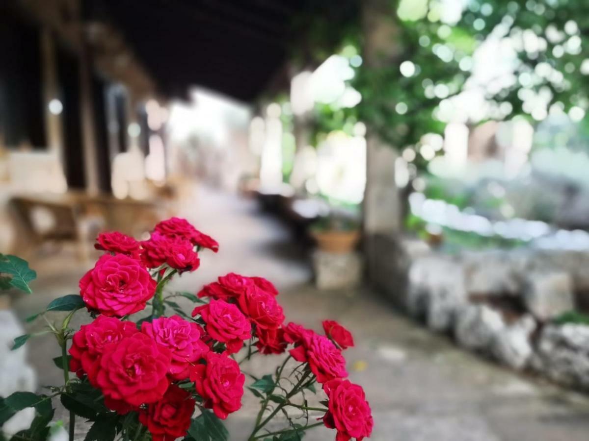 Borgo Del Gallo Bed and breakfast Tricase